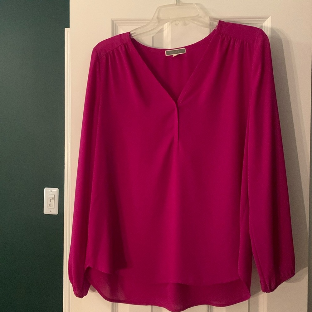 Pleione v-neck long sleeve blouse - large